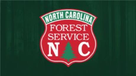Group Banner Picture